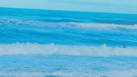 Florida Bodyboarding Thanksgiving Swell 200 Seconds at Dog Beach Melbourne