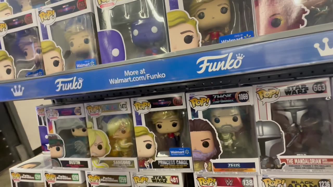 FUNKO FIG HUNT