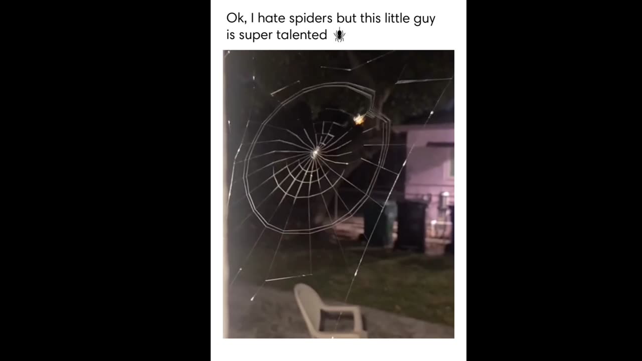 Spider Building Net Super Talent😲😇