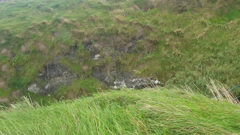 Beautiful Dunluce castle