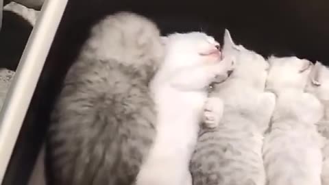 It's nap time