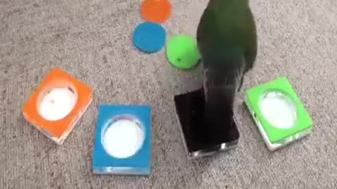 the smart birth