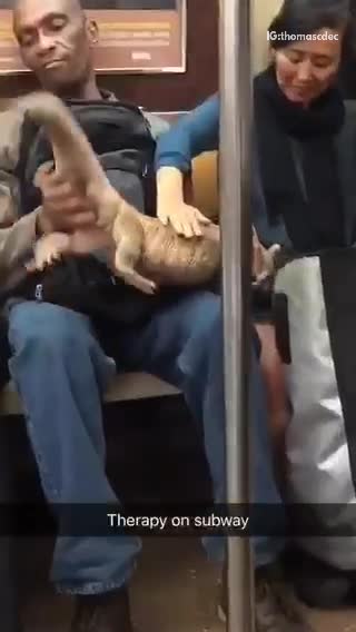 Man subway reptile lizard big on lap