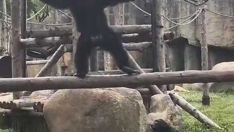 Sneak attack from behind, watch me flash
