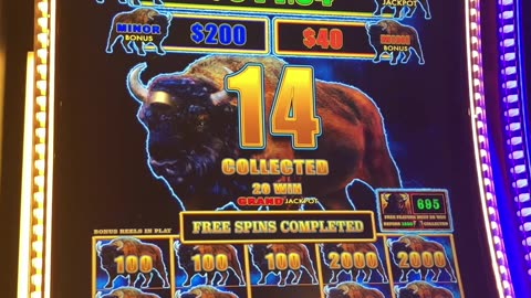 TOP SHELF BUFFALO! #slots #casino #slotmachine #slotwin #jackpot #bonusfeature #casinogames #gamble