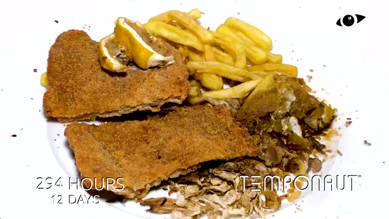 Timelapse Viennese Schnitzel