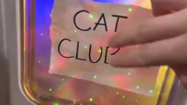 Cat Club