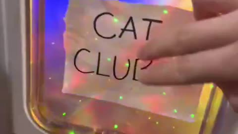 Cat Club