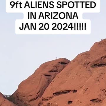 Alien? Bigfoot!? Monster?