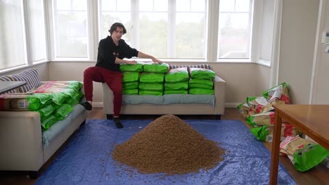 Surprising My Dog With 1,000,000 Pieces of Dog Food