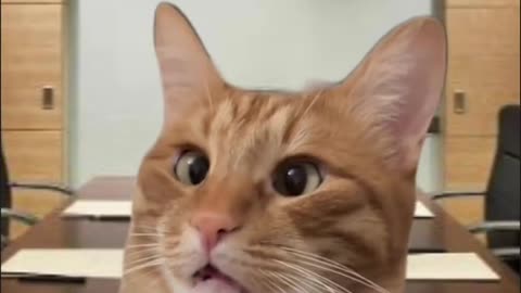 When you show the new hire for the 5th time 🤨how to do the job that the boss asked them to do!