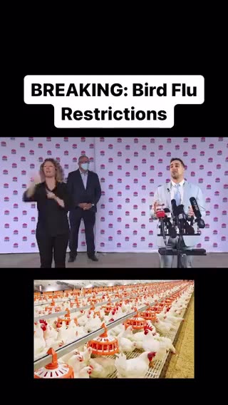 New Bird Flu Restrictions (satire)