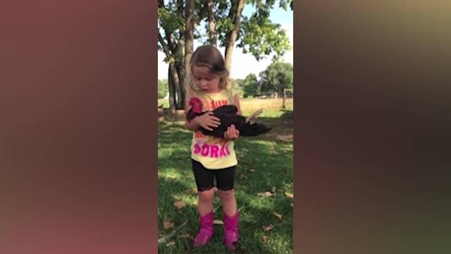 Kids & Chicken Funny Reaction