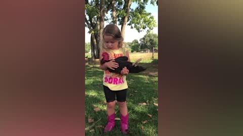 Kids & Chicken Funny Reaction