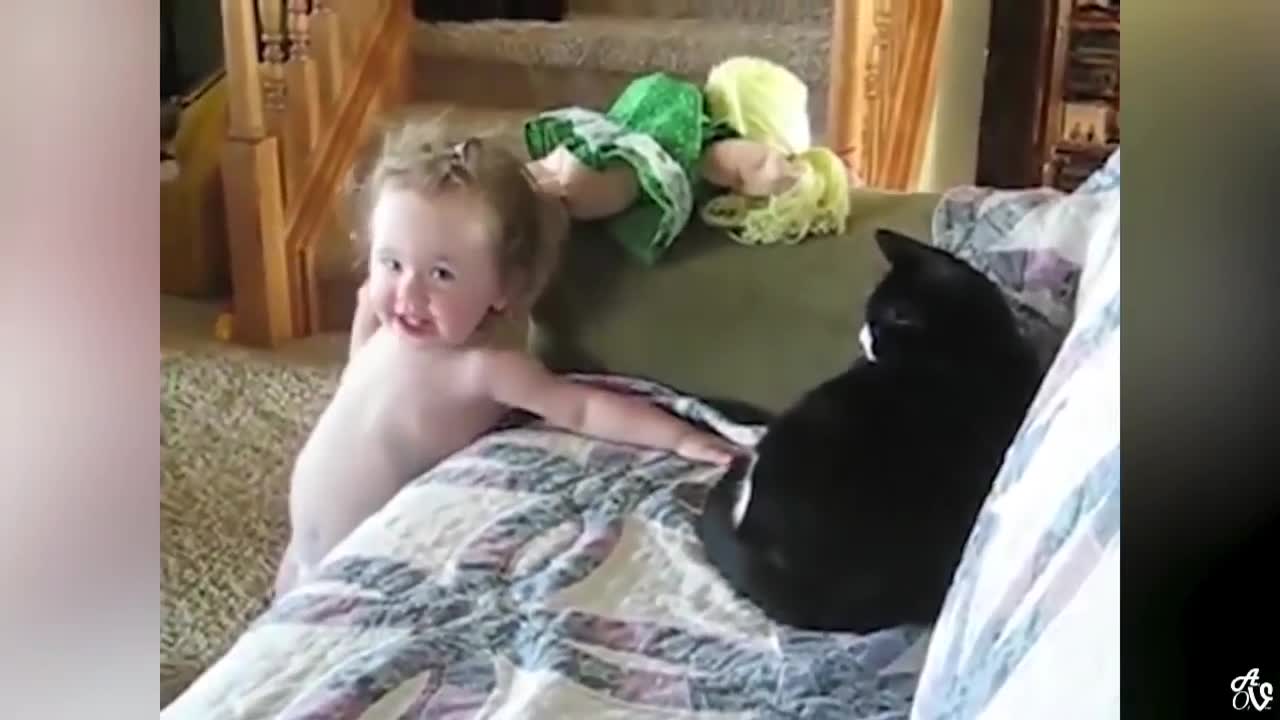 Try not to laugh watching the funny cats and dogs videos