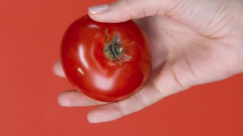 Tossing And Catching A Fresh Tomato In The Air