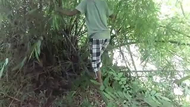 Plaid shirt kid tries to walk tree branch and hits himself in groin