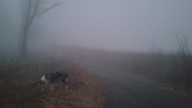 Foggy mountain top