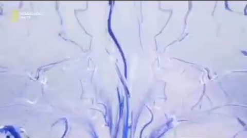 Dr.Liptop Jak łatwo zmanipulować ludzi i zaprogramować ich życie