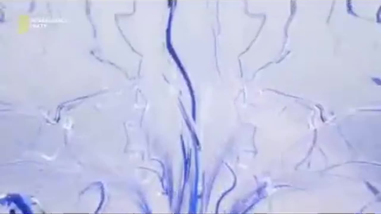 Dr.Liptop Jak łatwo zmanipulować ludzi i zaprogramować ich życie