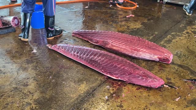 Amazing bluefin tuna cutting skills(6) It involves sharp knives.