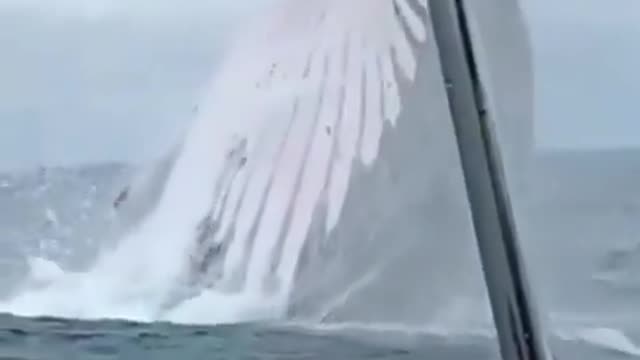 It's just a stunning view