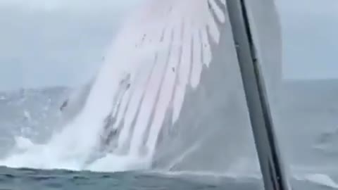It's just a stunning view