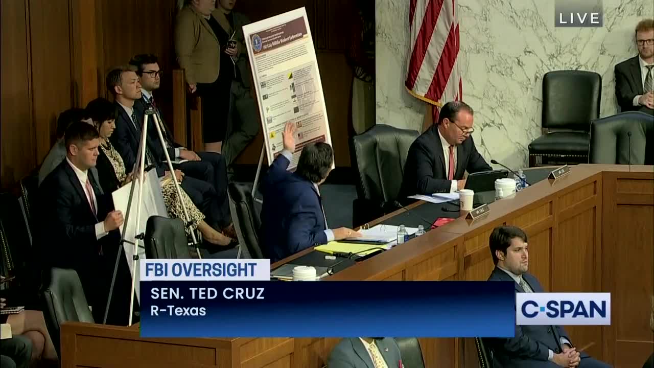 Ted Cruz grills FBI Director Wray on the bureau's woke training material targeting patriotic flags