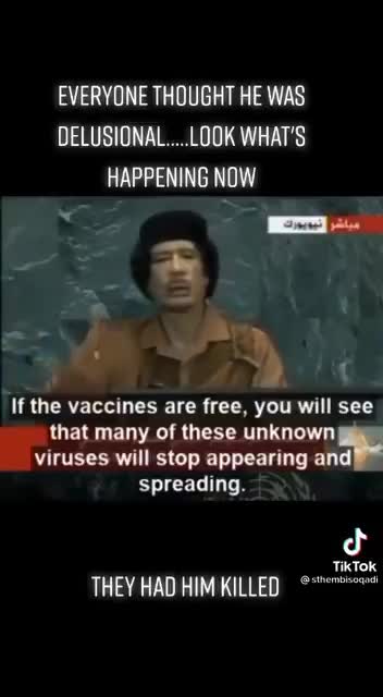 Gaddafi viruses