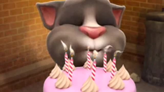 Happy birthday with talking Tom funny video