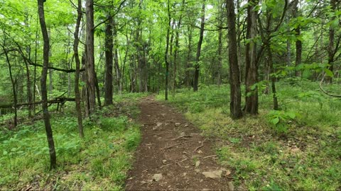 Cedarock Park Trails