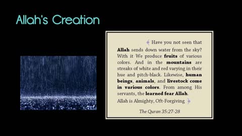 Allah's Creation