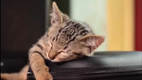 cute sleeping in