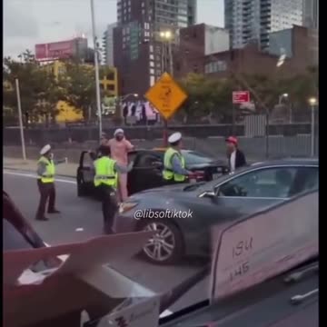 Concrete jungle where dreams are made of