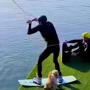 If You Laugh, You Restart! 😂 | Funniest Animal Fails Ever! 🐾