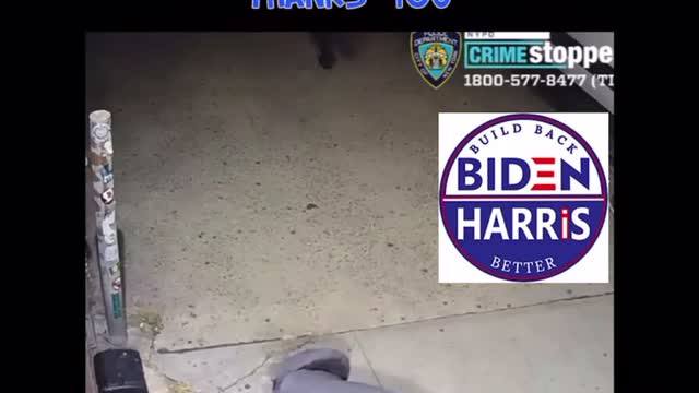 They actually voted for this