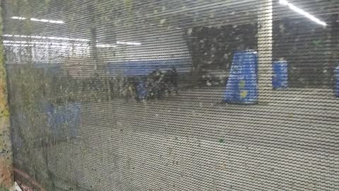 Power Paintball