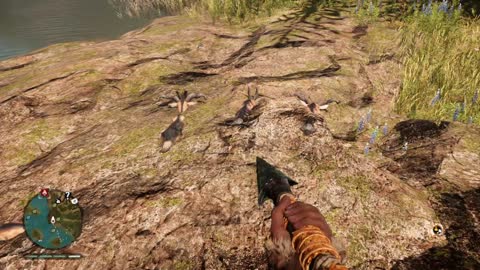 Goats stuck in rock glitch, Far Cry Primal