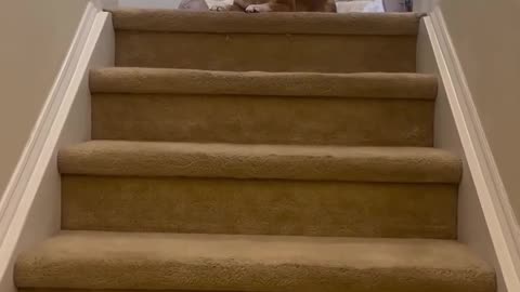 Going for a walk