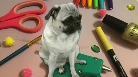 Relaxing yoga and meditation with a pug
