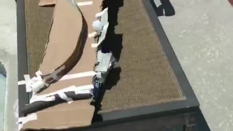 Sports funny video #19