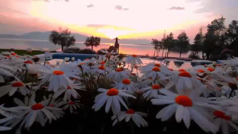 The scenery like this is too beautiful, remember to bring your favorite people to see it