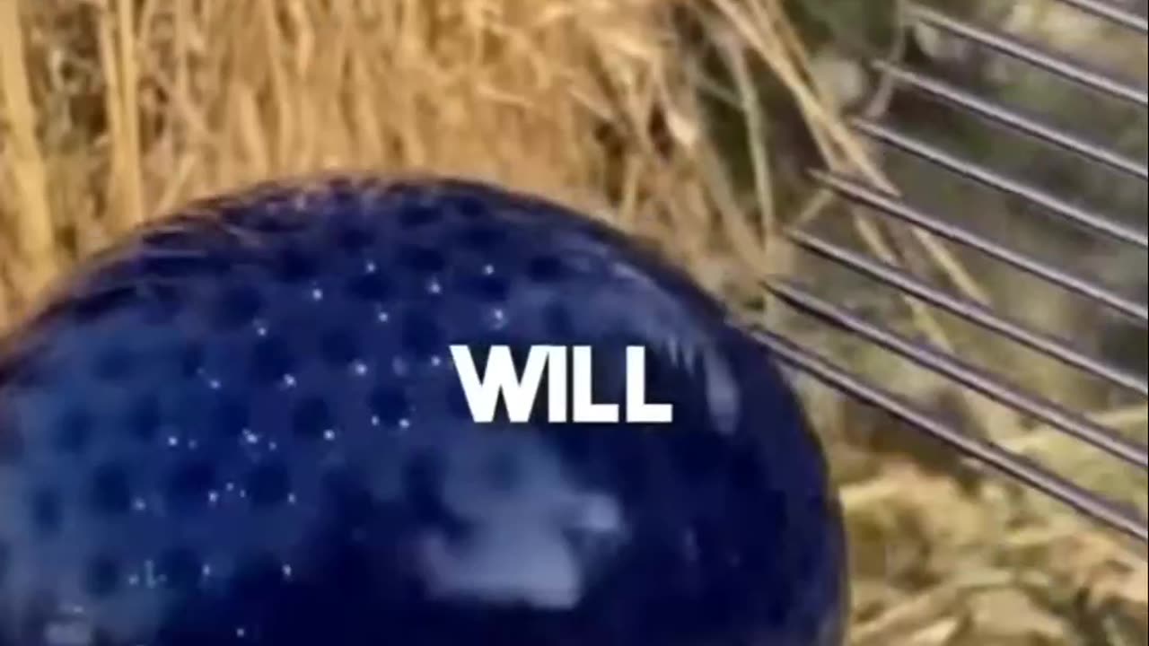 Mind blowing facts that will leave you speech less