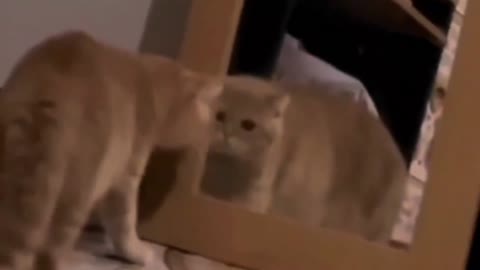 he didn't stop until I woke up