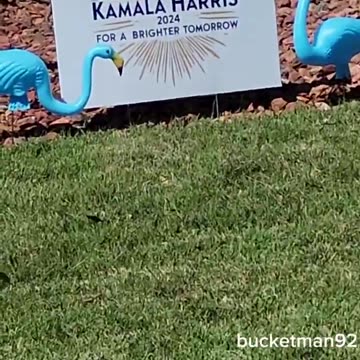 Educational Purposes Only..!