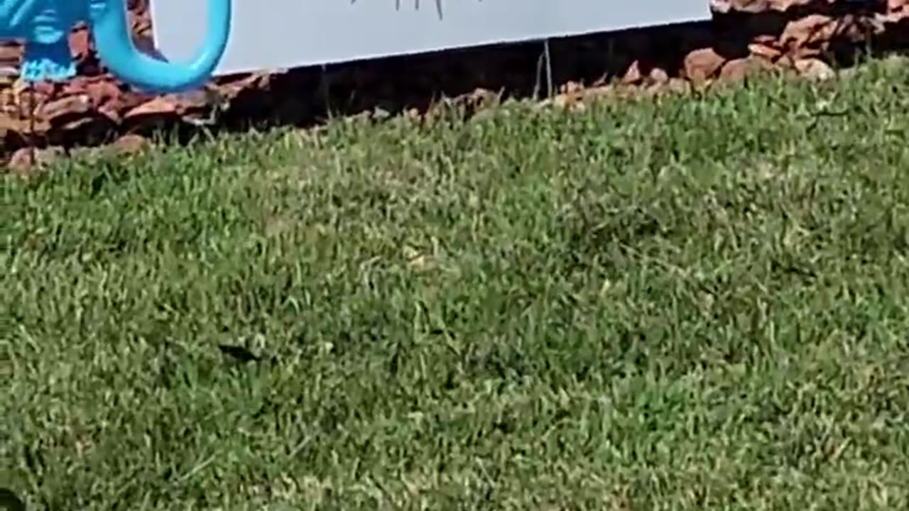 Educational Purposes Only..!