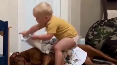 Toddler Tucks In Pet Dog: A Heartwarming Bedtime! 🧒🐶🛌💖😘✨
