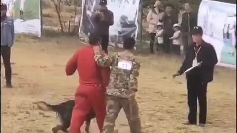 police dogs training video