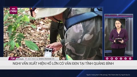 Người dân phát hiện hổ lớn có vằn đen ở khoảng cách rất gần, kiểm lâm Quảng Bình vào cuộc _ VTC Now