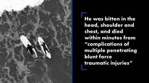 Reports confirm great white shark killed California bodyboarder
